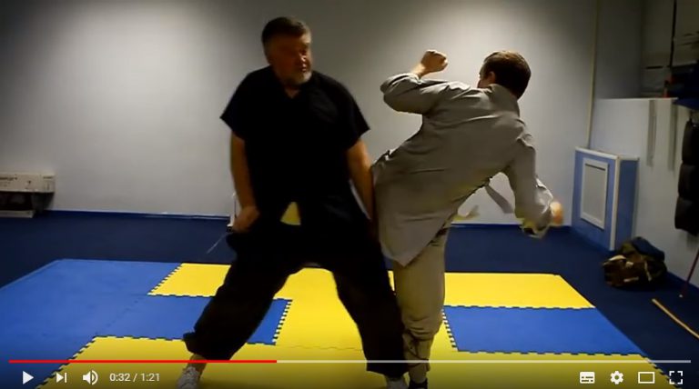 Защита от удара ногой с разворота