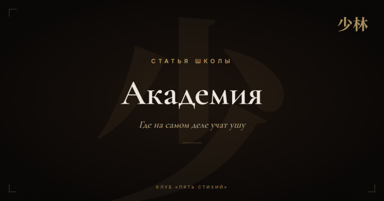 Академия при монастыре Шаолинь: где на самом деле учат