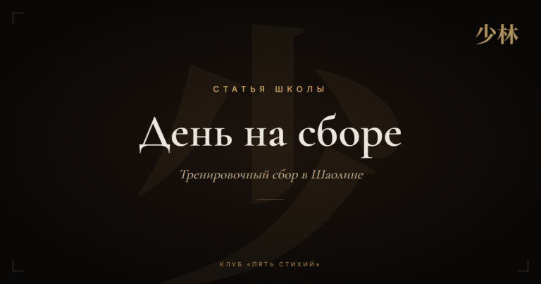 Тренировочный сбор в Шаолине для взрослых: как устроен день
