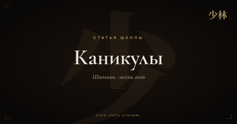 Шаолиньские каникулы 2026: что это и кому подходит